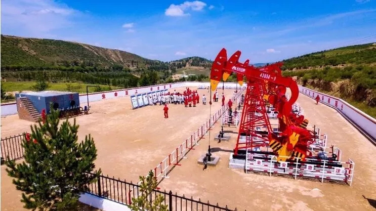 1552385182364738.jpeg 2.jpg